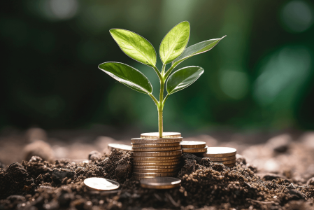 Récipiendaires de bourses du programme DÉMARRAGE - Concours Printemps 2025