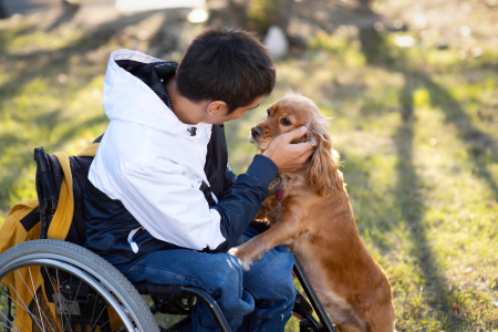 Jeune homme en fauteuil roulant jouant avec son chien